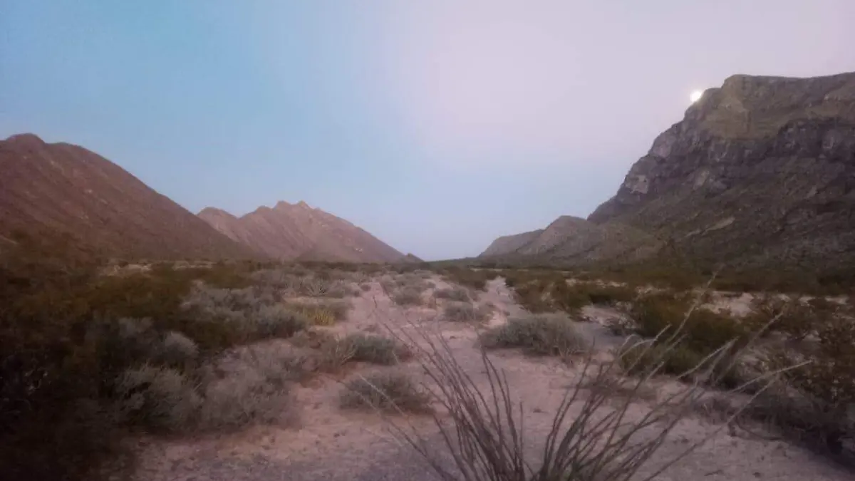 Desierto Chihuahuense